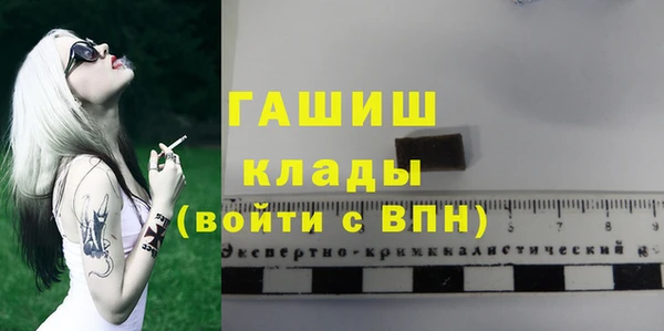 индика Богородск
