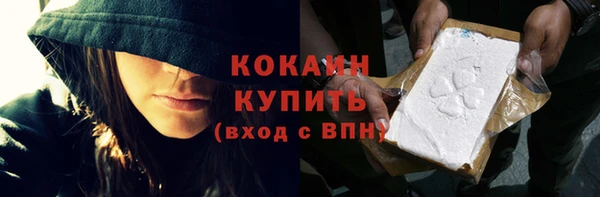индика Богородск