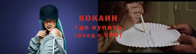 индика Богородск