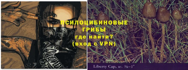 индика Богородск