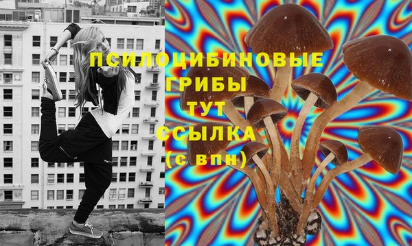 героин Богданович