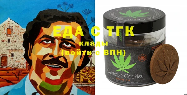 индика Богородск