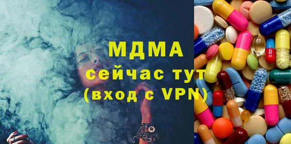 индика Богородск