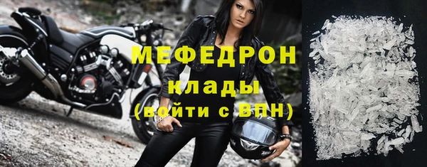 индика Богородск