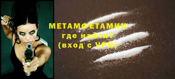 индика Богородск