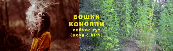 героин Богданович
