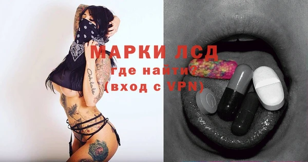 индика Богородск