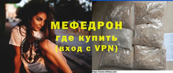 индика Богородск
