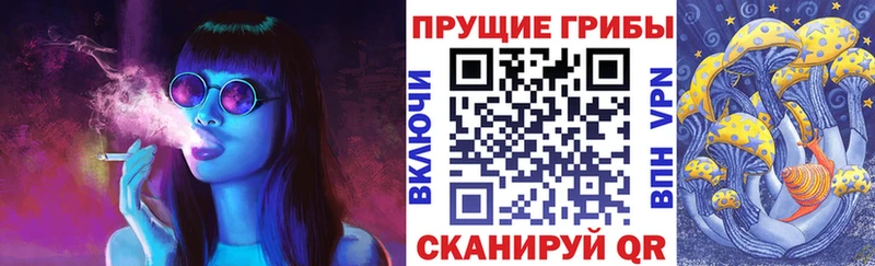 Псилоцибиновые грибы Cubensis  Верхний Уфалей 
